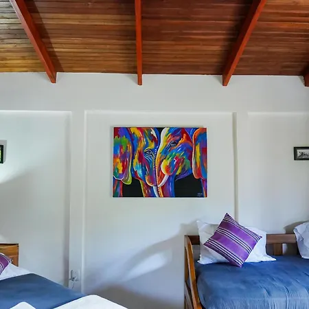Sueno Rio Celeste Boutique B&B Bijagua Exterior photo