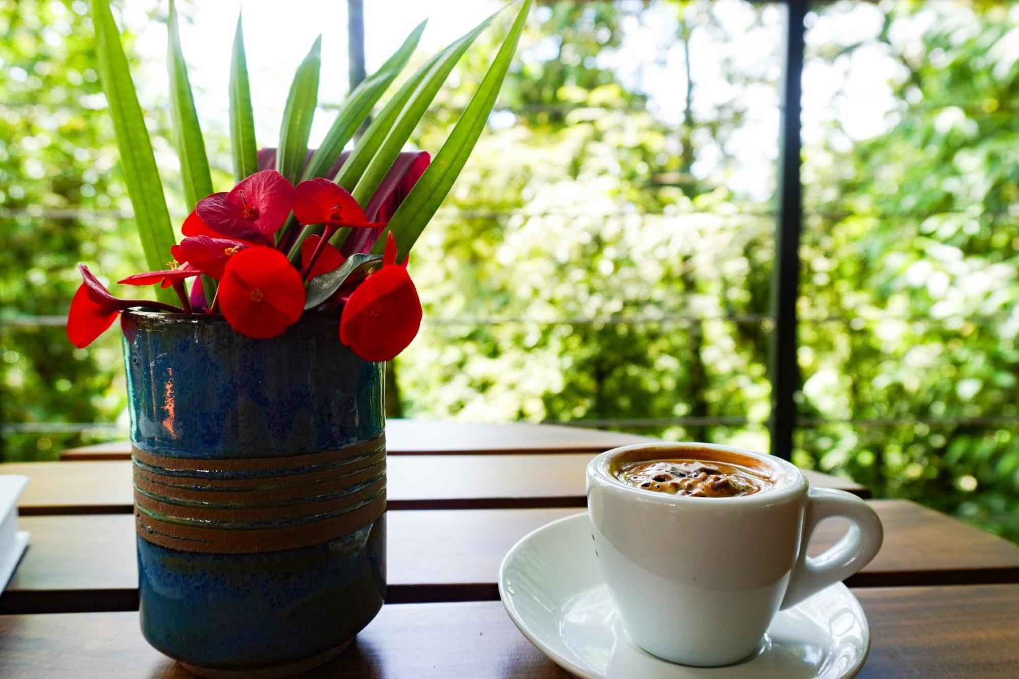 Sueno Rio Celeste Boutique Guest house 3*