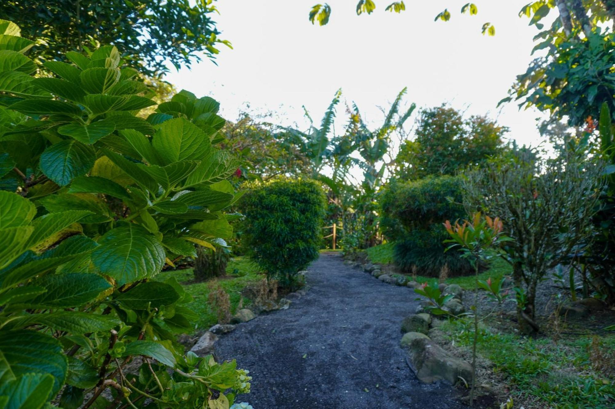 Guest house Sueno Rio Celeste Boutique