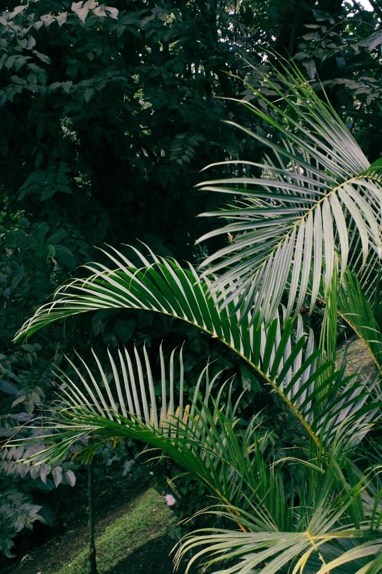 Sueno Rio Celeste Boutique