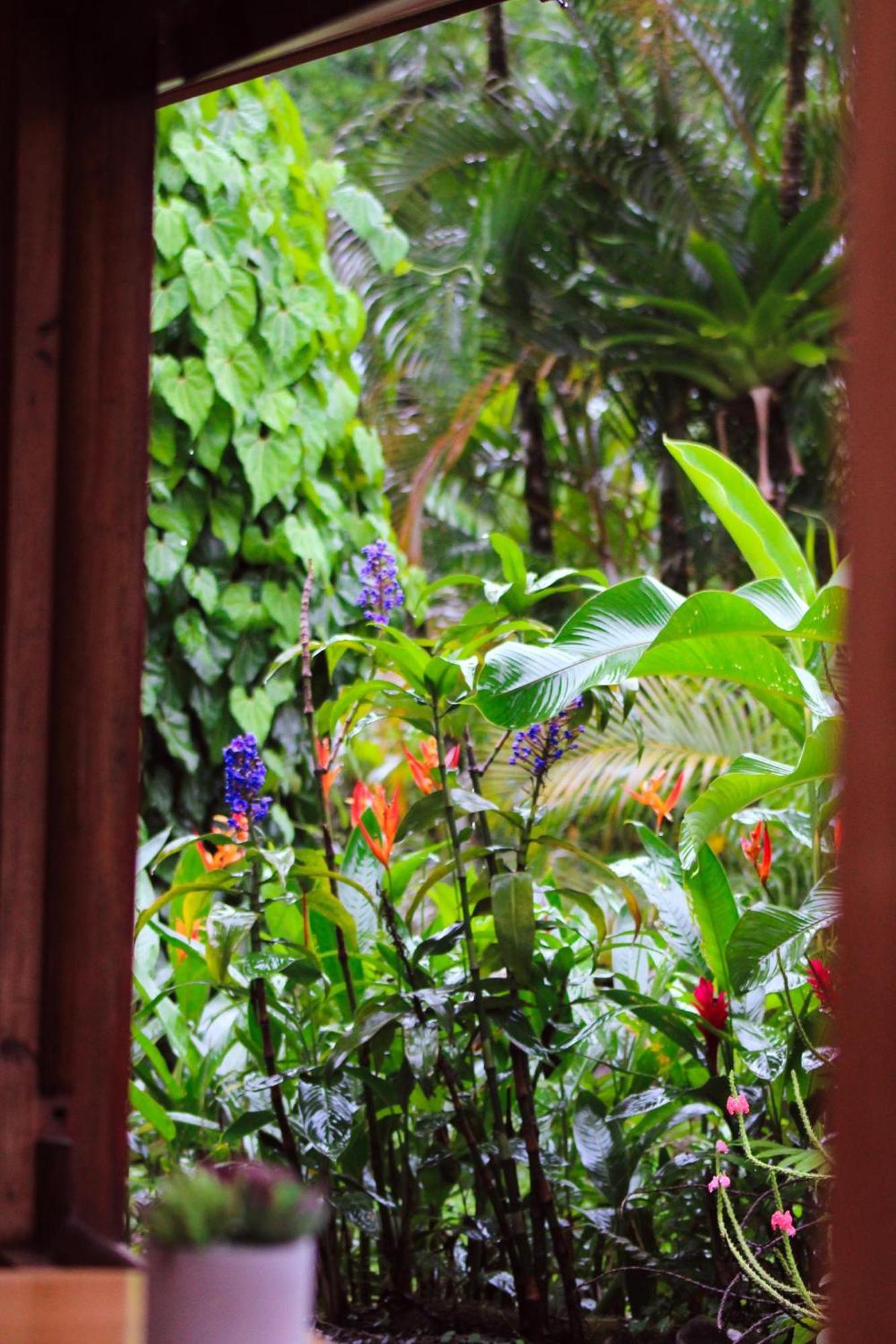 Sueno Rio Celeste Boutique