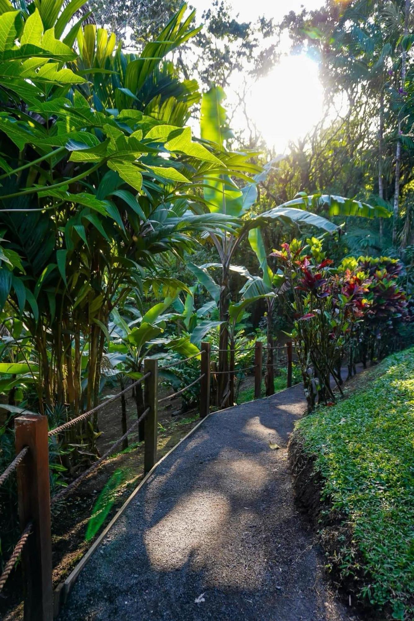Sueno Rio Celeste Boutique 3* Bijagua