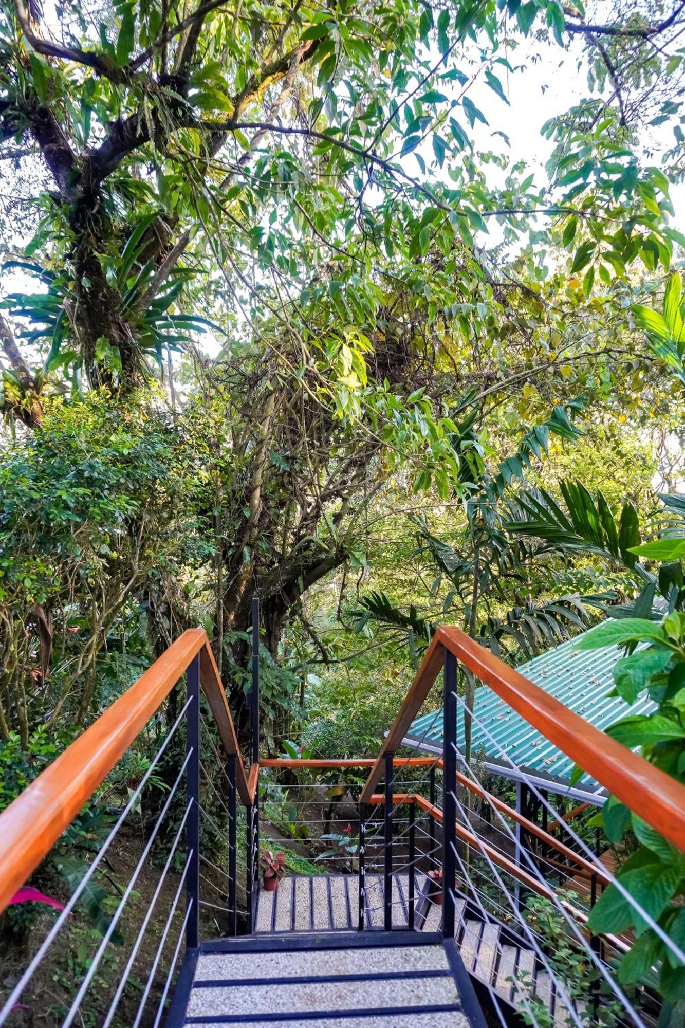 Sueno Rio Celeste Boutique