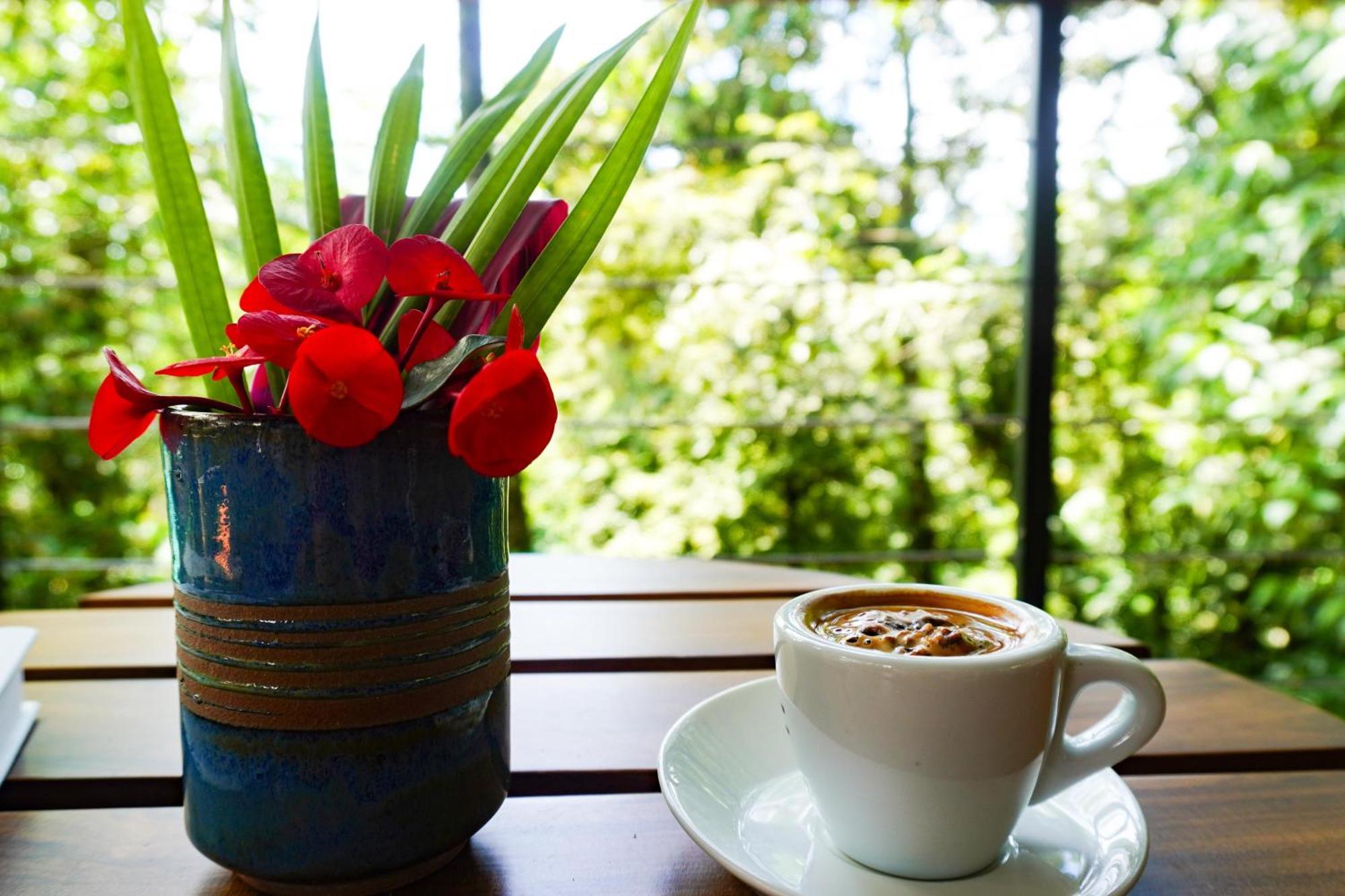 Guest house Sueno Rio Celeste Boutique 3*